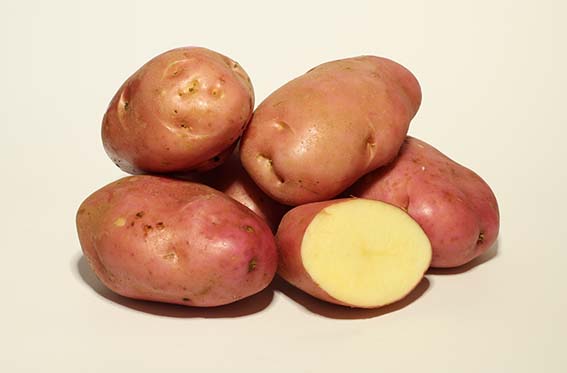 Incrementar el tamaño del tubérculo en papas 